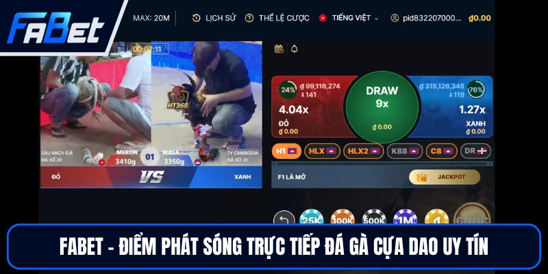 Trực Tiếp Đá Gà Cựa Dao Uy Tín Tại FABET Đẳng Cấp Top Đầu