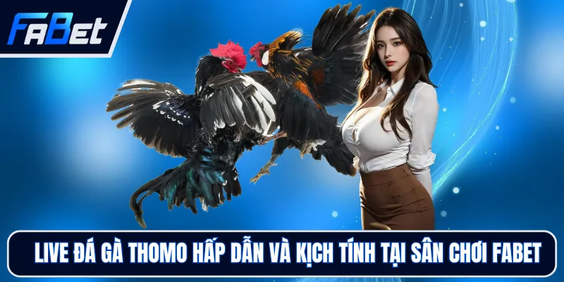 Trực Tiếp Đá Gà Đòn C1 FABET - Theo Dõi Đối Kháng Đỉnh Cao