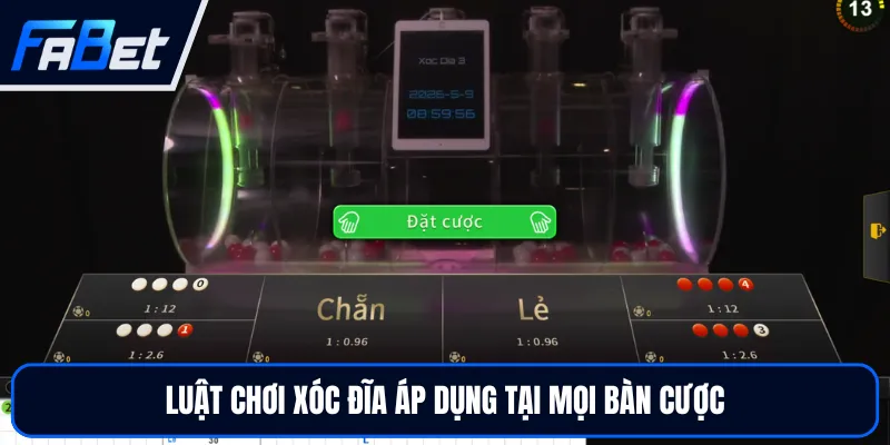 Luật Chơi Xóc Đĩa Từ A Đến Z Và Cách Đọc Kết Quả Dễ Hiểu