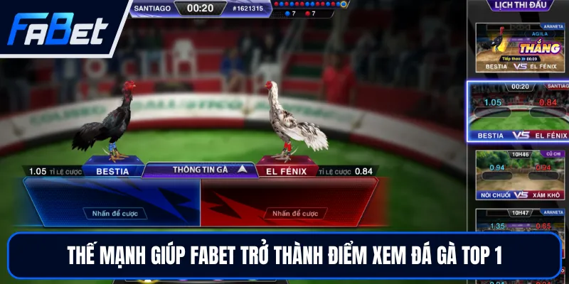 Live Đá Gà Thomo Hấp Dẫn Và Kịch Tính Tại Sân Chơi FABET