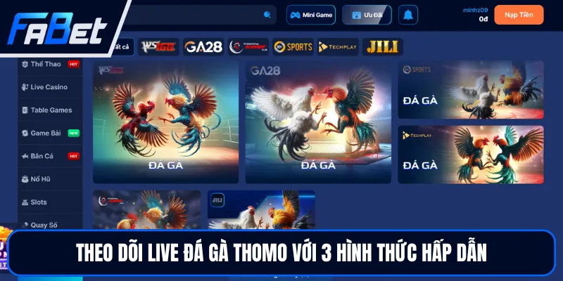 Live Đá Gà Thomo Hấp Dẫn Và Kịch Tính Tại Sân Chơi FABET