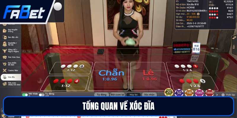 Luật Chơi Xóc Đĩa Từ A Đến Z Và Cách Đọc Kết Quả Dễ Hiểu